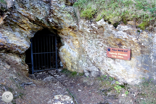 La mina Victòria i la bassa d