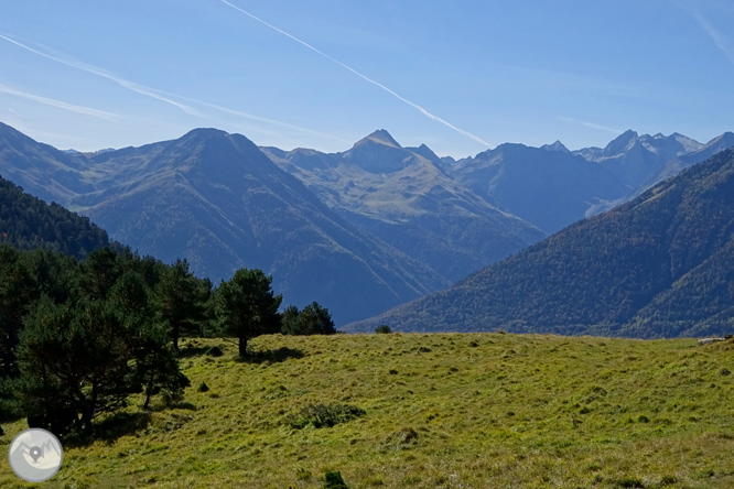 La mina Victòria i la bassa d