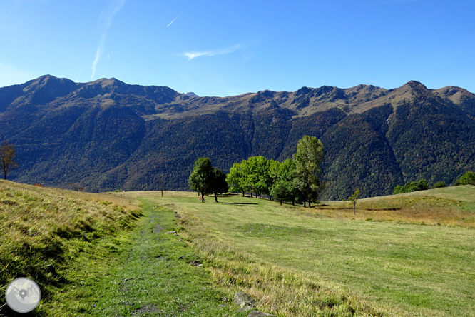 La mina Victòria i la bassa d