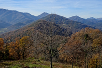 Rouredes de roure martinenc a la serra de Sant Miquel del Mont.