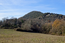 Vessant SE de la serra de Sant Miquel del Mont.