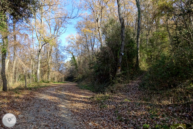 La talaia sobre la Via Annia a la Garrotxa 1 