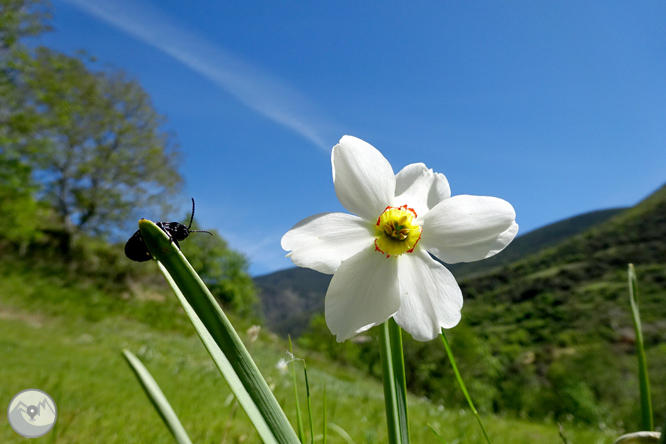 La vall d