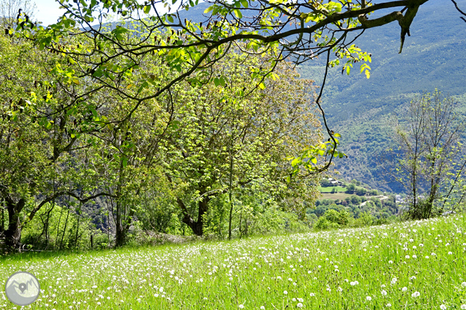 La vall d