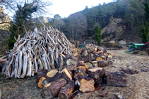 Arribant a Sant Lleïr veiem l´explotació forestal de la Valldora.