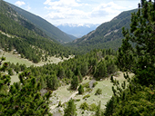 La Vall de la Llosa