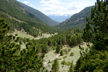 Davallant per la vall de la Llosa.