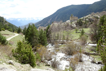 Bosc de ribera i ermita de la Mare de Déu dels Àngels.