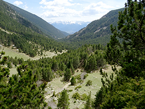 La Vall de la Llosa