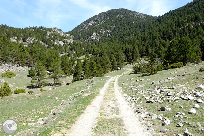 La Vall de la Llosa 1 