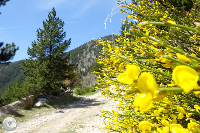 La Vall de la Llosa 1 