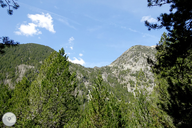 La Vall de la Llosa 1 