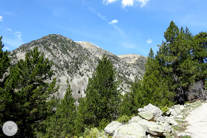 La Vall de la Llosa 1 