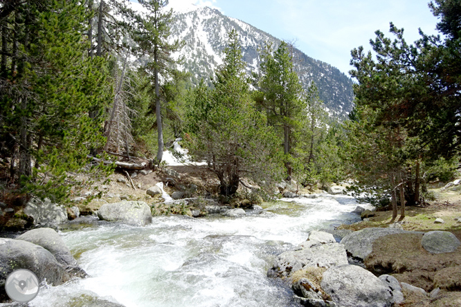 La Vall de la Llosa 1 