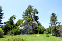 La Roca del Catllaràs.