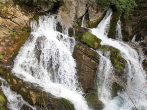 Les Fonts del Llobregat