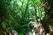 Avancem pel costat del torrent del barranc de Peramola.