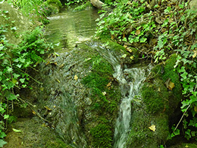 Les fonts de Peramola (Camí de les Fonts)