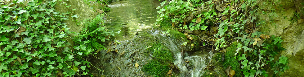 Les fonts de Peramola (Camí de les Fonts)