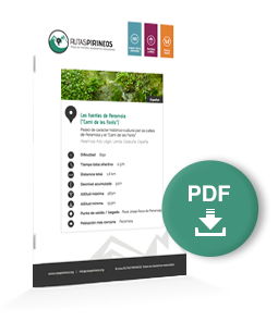 pdf-ruta