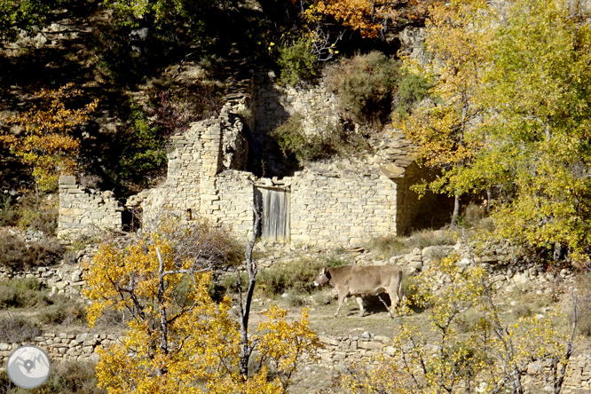 Serra de Sant Gervàs: el Portús i l