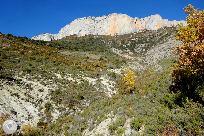 Serra de Sant Gervàs: el Portús i l