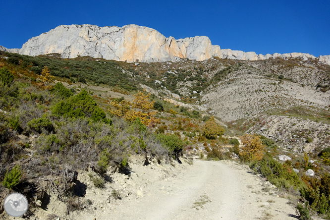 Serra de Sant Gervàs: el Portús i l