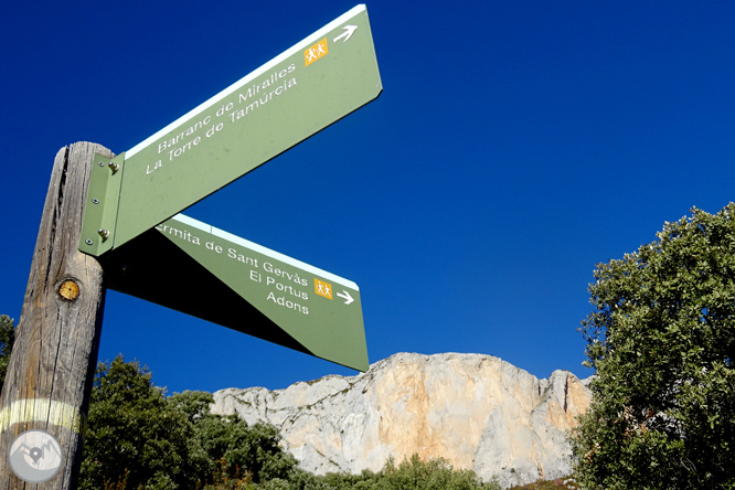 Serra de Sant Gervàs: el Portús i l