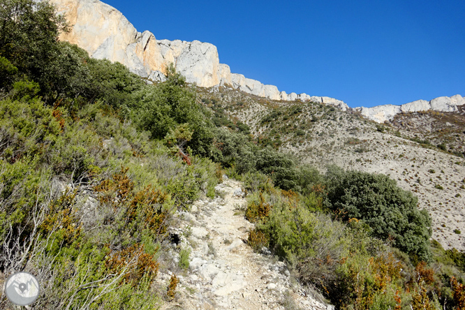 Serra de Sant Gervàs: el Portús i l