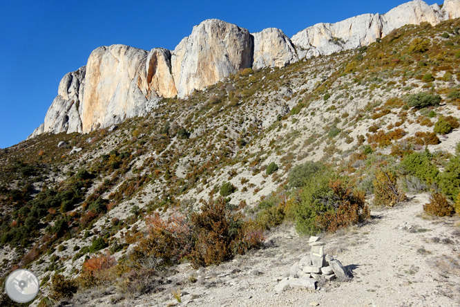 Serra de Sant Gervàs: el Portús i l