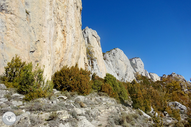 Serra de Sant Gervàs: el Portús i l