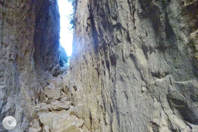 Serra de Sant Gervàs: el Portús i l