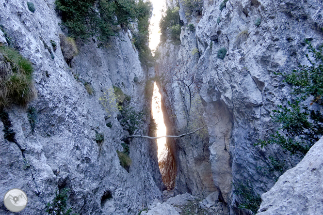 Serra de Sant Gervàs: el Portús i l