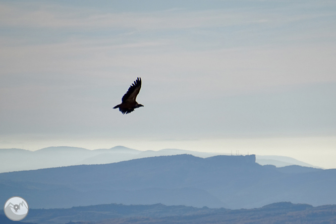 Serra de Sant Gervàs: el Portús i l