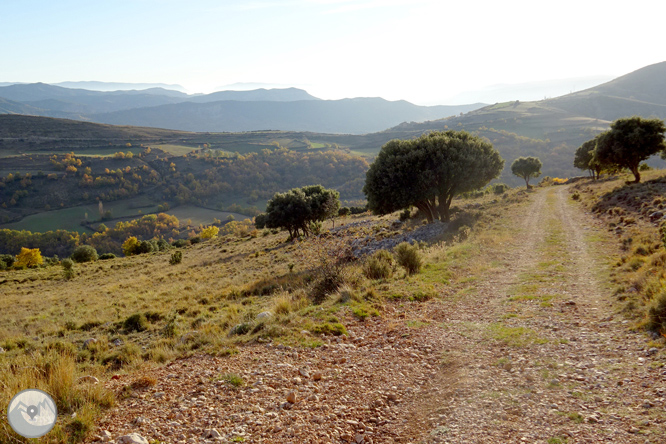 Serra de Sant Gervàs: el Portús i l