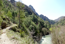 A les envistes de la Roca Punxeguda.