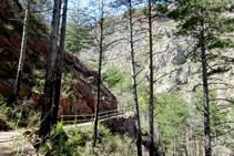 Camí a Arboló.