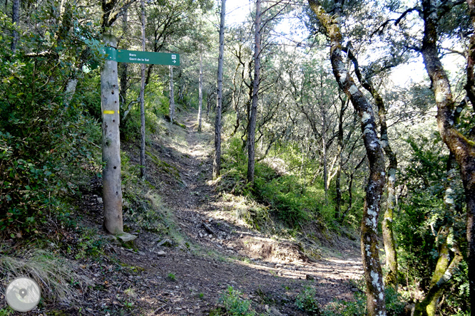 Mare de Déu d