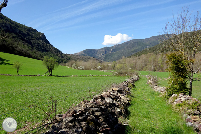 Mare de Déu d