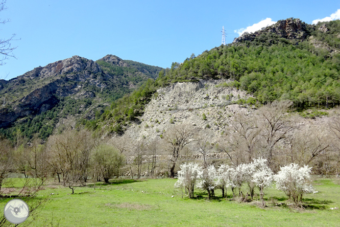 Mare de Déu d