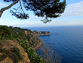 Massís de l´Ardenya des de Sant Feliu de Guíxols