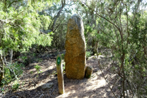 Menhir del Terme Gros.