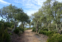 Arribant al coll de Sant Baldiri.