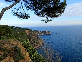 Massís de l´Ardenya des de Sant Feliu de Guíxols