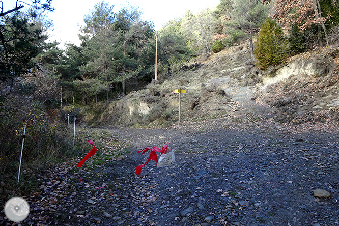 Matamala i les Llosses per antics camins de ferradura 1 