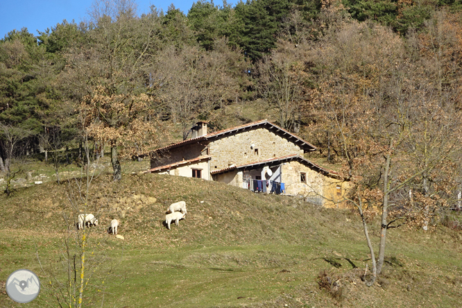 Matamala i les Llosses per antics camins de ferradura 1 