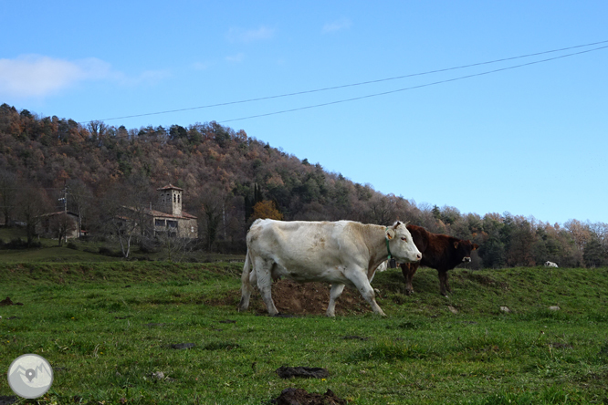 Matamala i les Llosses per antics camins de ferradura 1 