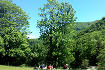 Descansant pels voltants de la riera de Sallent.