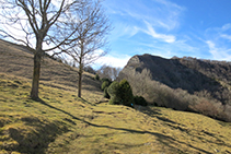 Al fons, el Puig dels Llops (1.486m).