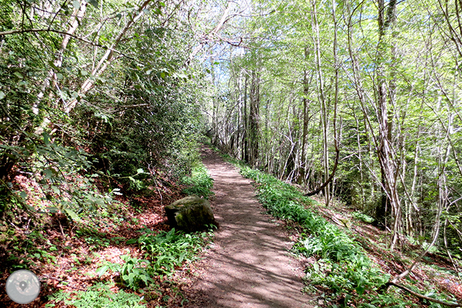 El mirador de la Vall d